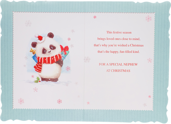 Nephew Christmas card - cute panda