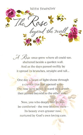 Sympathy - Rose beyond the wall