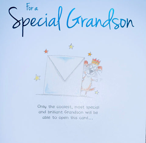 Grandson birthday card funny