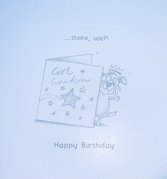 Grandson birthday card funny