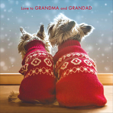Grandma and Grandad Christmas card - dogs in Christmas jumpers