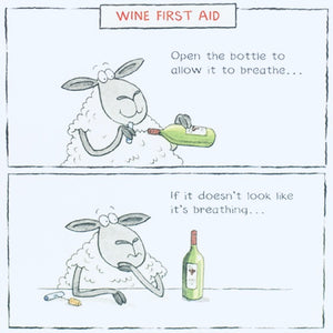 Funny birthday card - wine drinking instructions