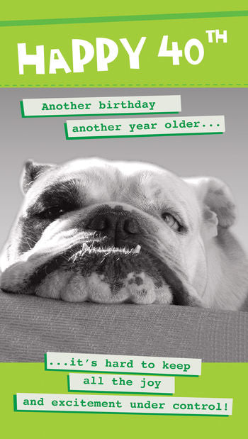 40th birthday card - funny dog