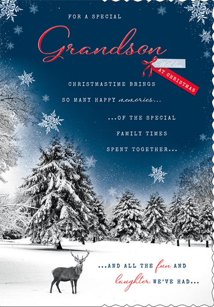 Grandson Christmas card - winter scene