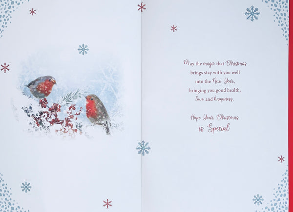 Dad and Partner Christmas card - Xmas robins