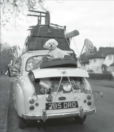 New home card photo of overloaded car with dog
