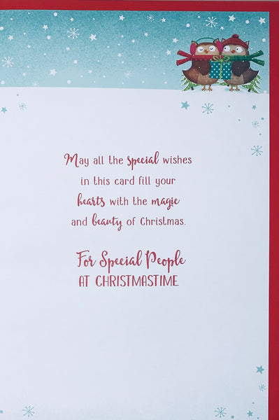 Brother and Sister-in-law Christmas card- Xmas owls