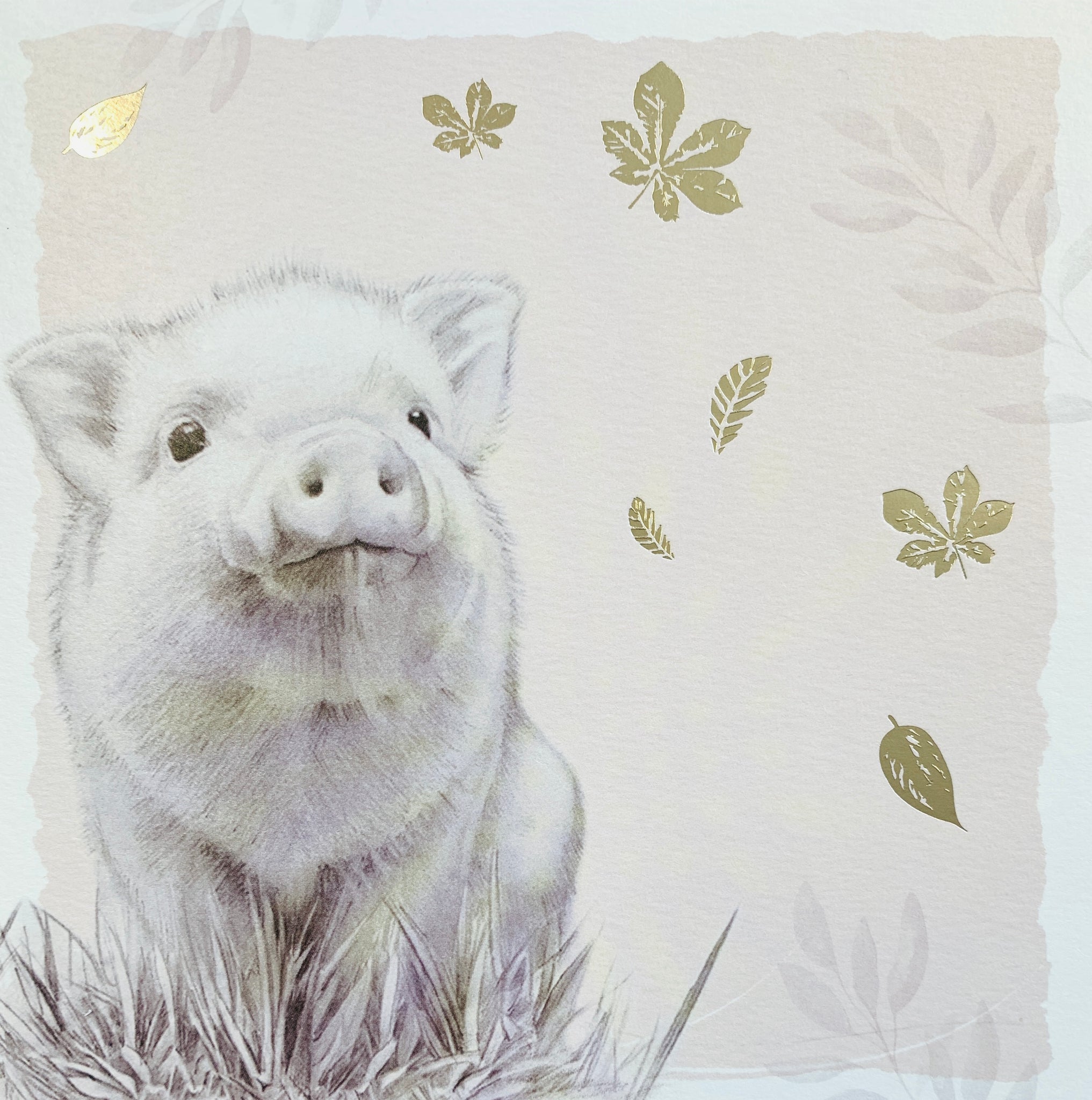 Blank card - cute pig