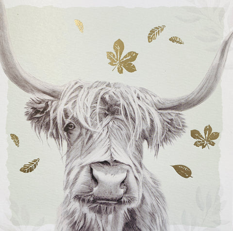 Blank card - highland cow