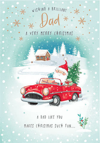 Dad Christmas card - cute Santa l