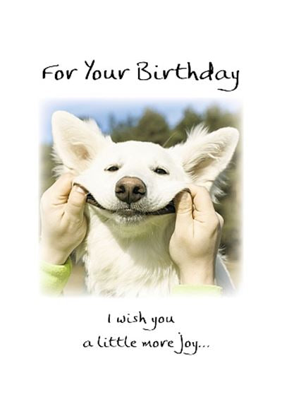 Pix and pagels birthday card smiling dog by Blue mountain arts