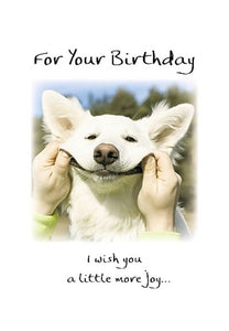 Pix and pagels birthday card smiling dog by Blue mountain arts